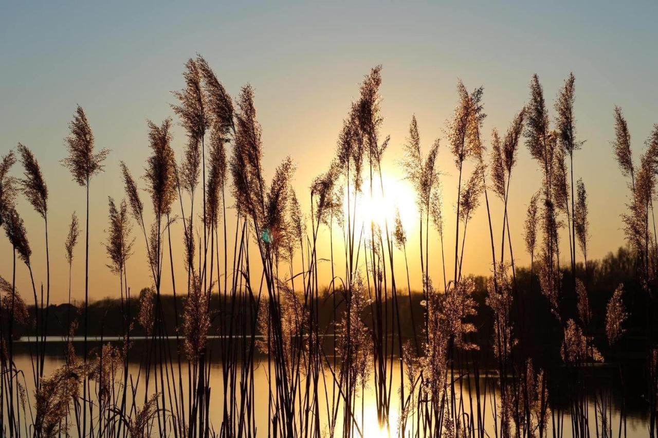 Barack Thermal & Natura Apartments Tiszakecske Luaran gambar